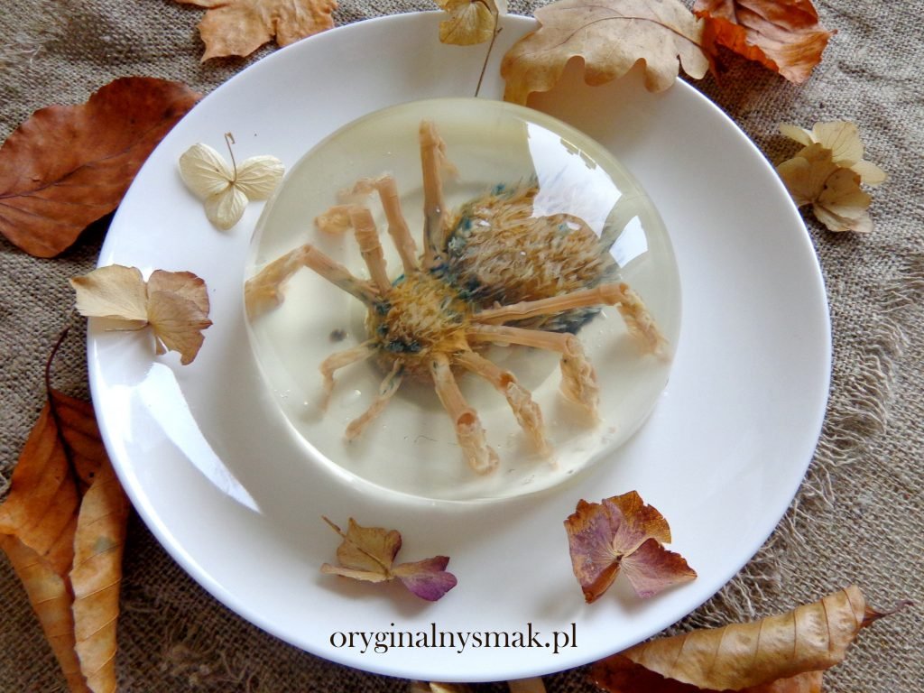 Pająk 3D w galaretce Pająk 3D w galaretce