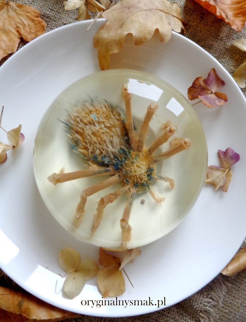 Pająk 3D w galaretce Pająk 3D w galaretce