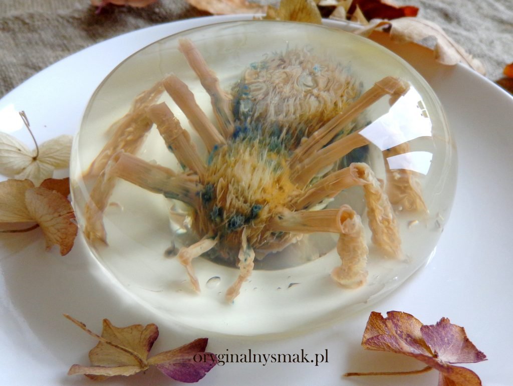 Pająk 3D w galaretce Pająk 3D w galaretce